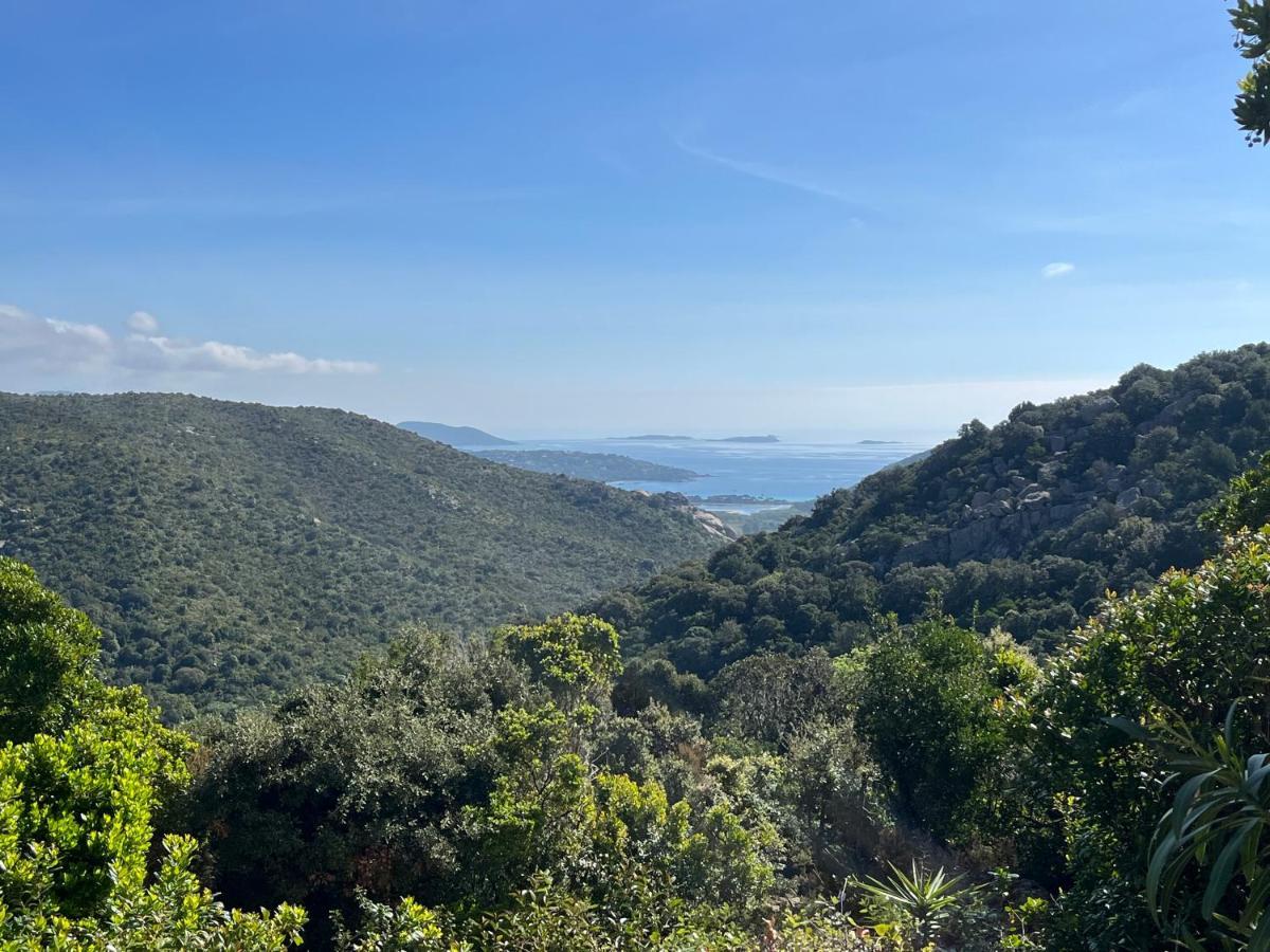 Hameau De Pietra Longa Salvini Porto-Vecchio Daire Sotta Dış mekan fotoğraf